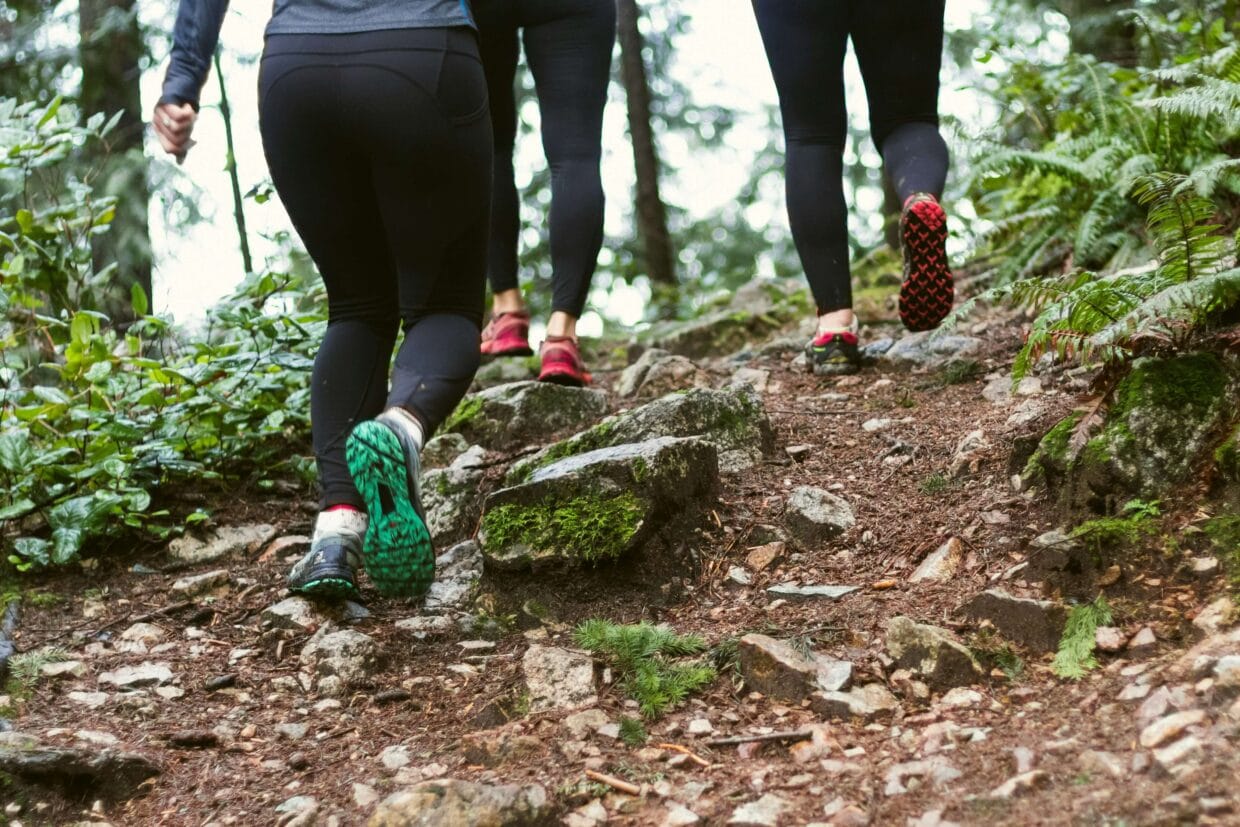 Gráfico de altimetria de prova de trail running com marcações de D+ e pontos de abastecimento