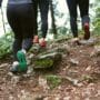 Gráfico de altimetria de prova de trail running com marcações de D+ e pontos de abastecimento