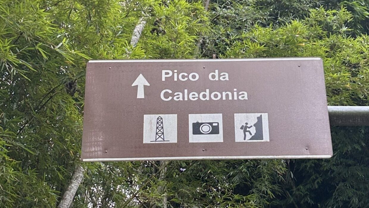 Trilha do Pico da Caledônia: tudo que o corredor precisa saber antes de subir 10 Pico da Caledônia