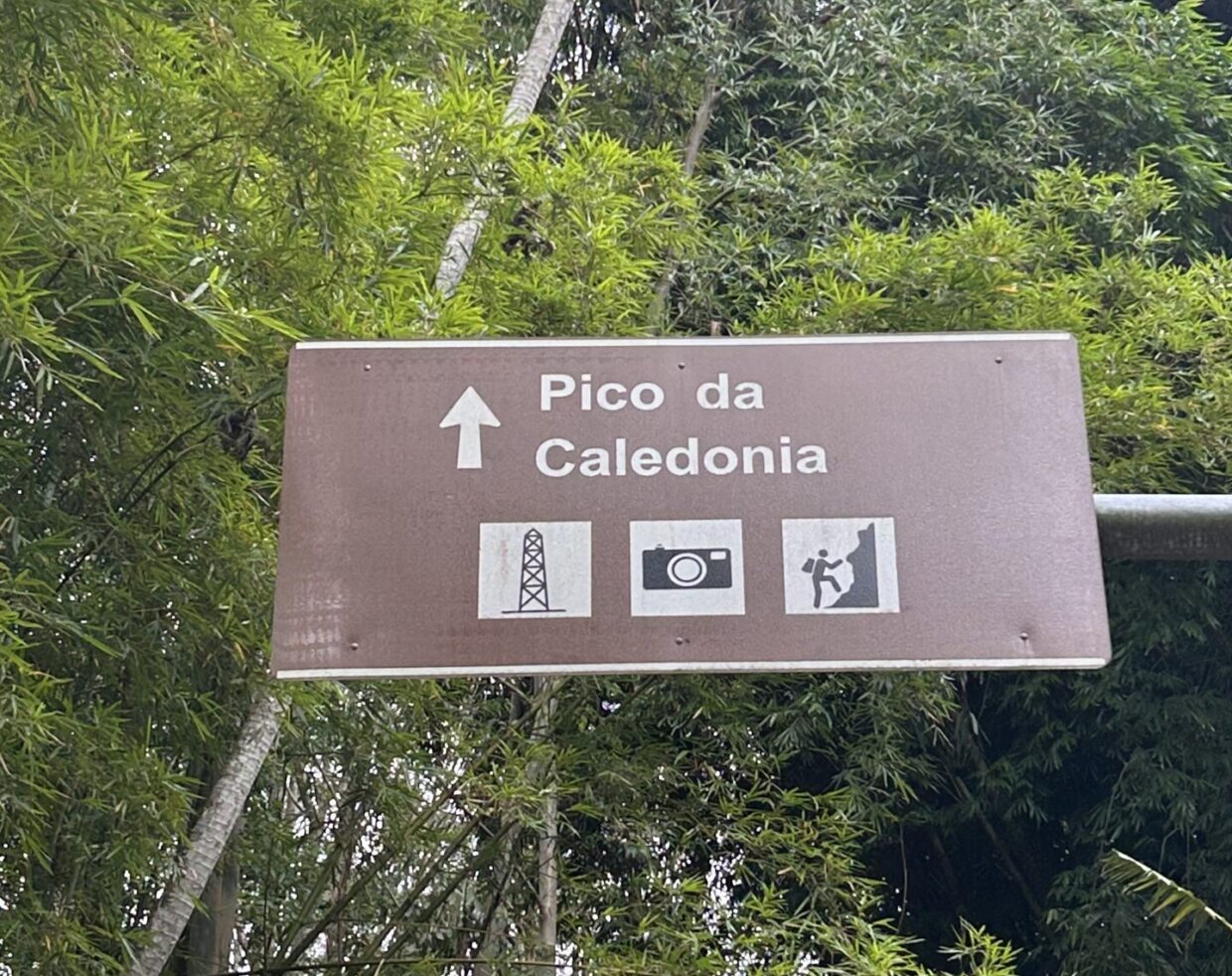Pico da Caledônia