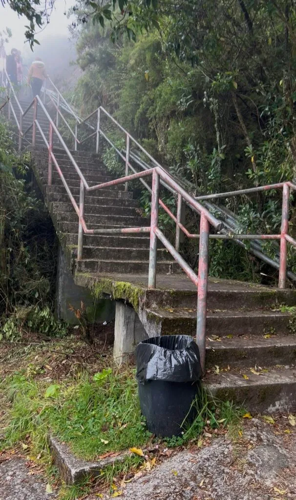 Trilha do Pico da Caledônia: tudo que o corredor precisa saber antes de subir 12 Pico da Caledônia