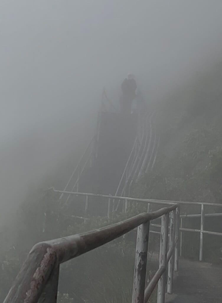 Pico da Caledônia