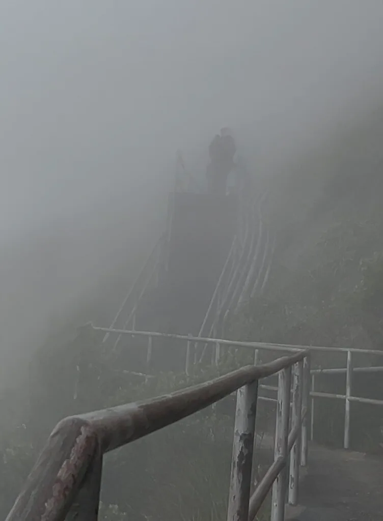 Trilha do Pico da Caledônia: tudo que o corredor precisa saber antes de subir 14 Pico da Caledônia