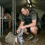 Drop bag ultra trail: corredor organizando bolsa de apoio dentro de aid station durante prova com saquinhos transparentes