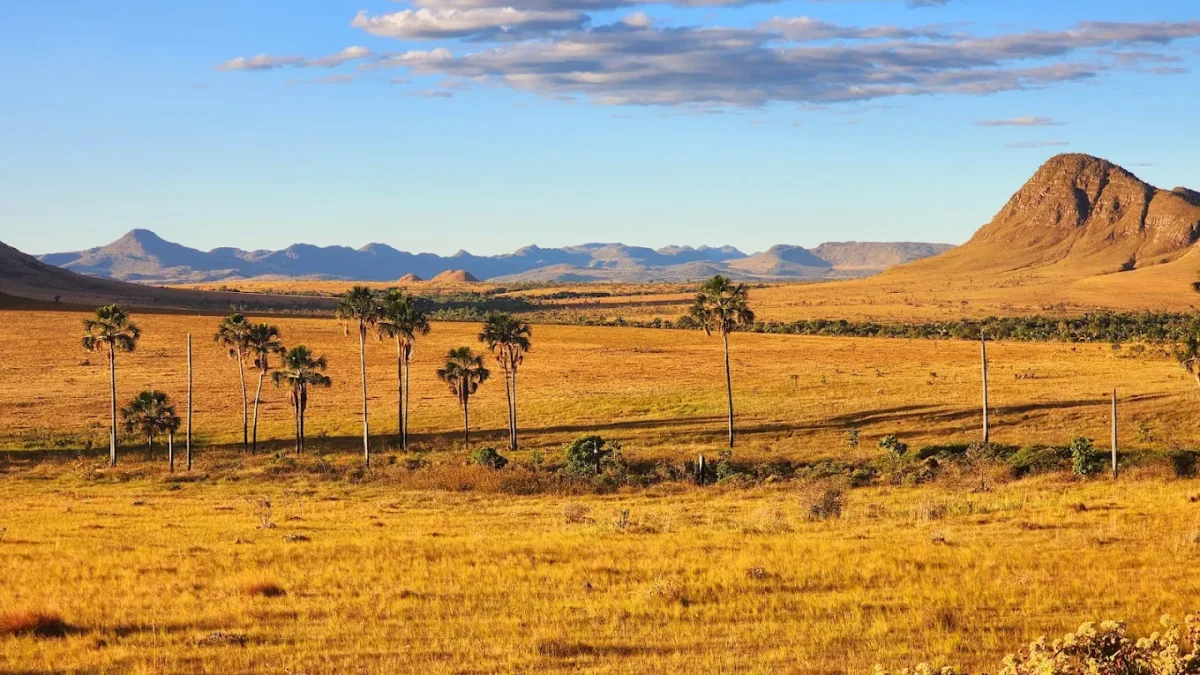 chapada dos veadeiros