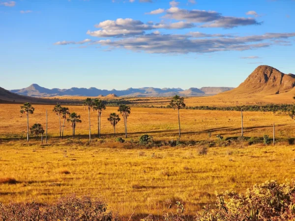 chapada dos veadeiros